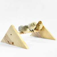 Read My Pet Chicken Reviews